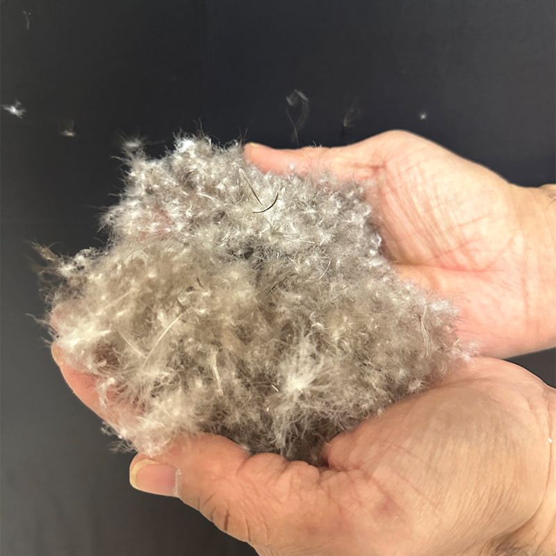 80% szarego puchu kaczego 80% szarego puchu kaczego