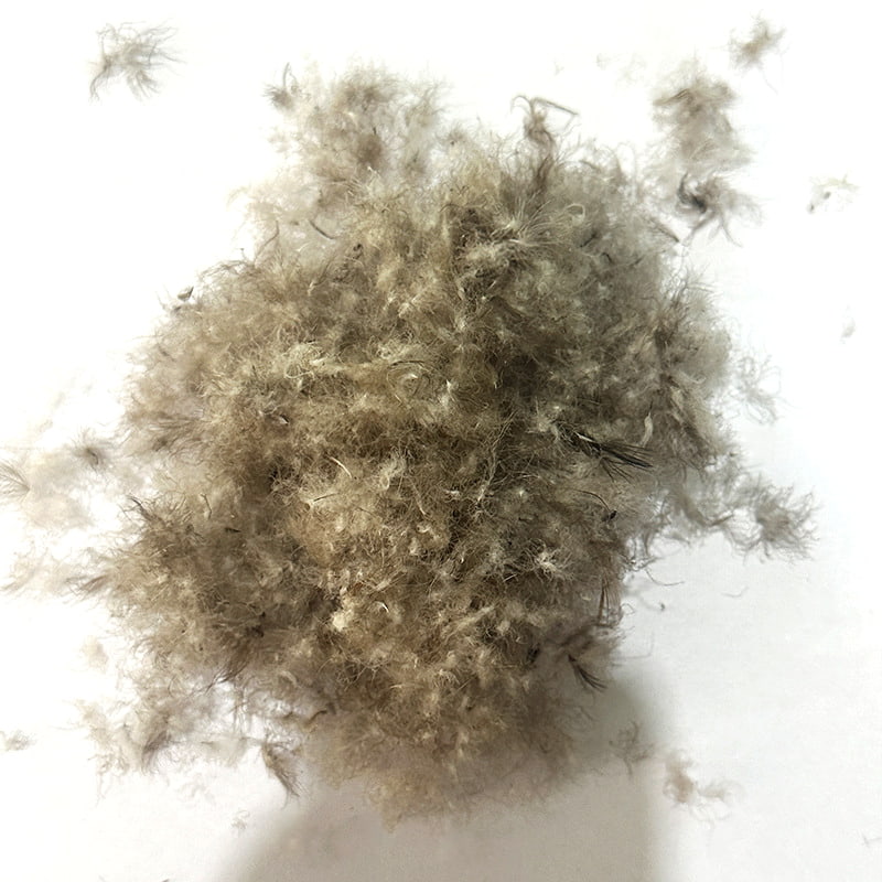 80% szarego puchu kaczego 80% szarego puchu kaczego