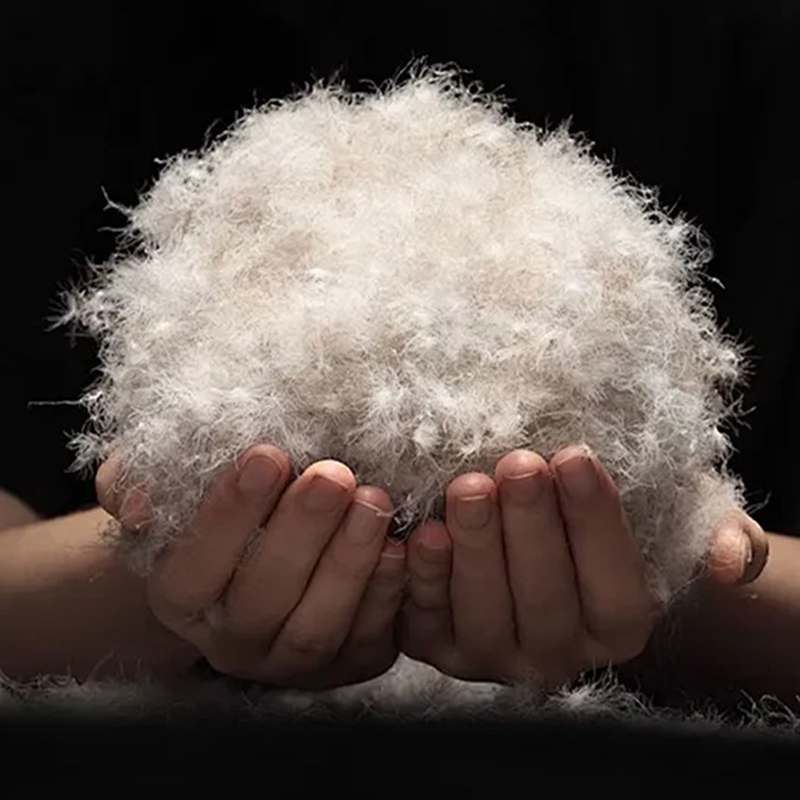 90% szarego puchu kaczego