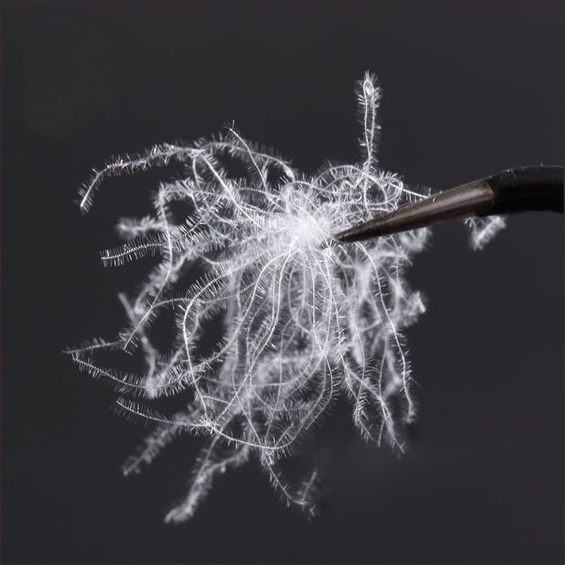 80% czystego białego puchu kaczego