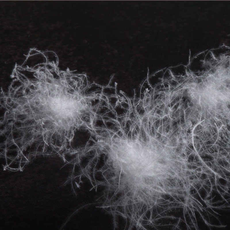 50% białego puchu gęsiego 50% białego puchu gęsiego