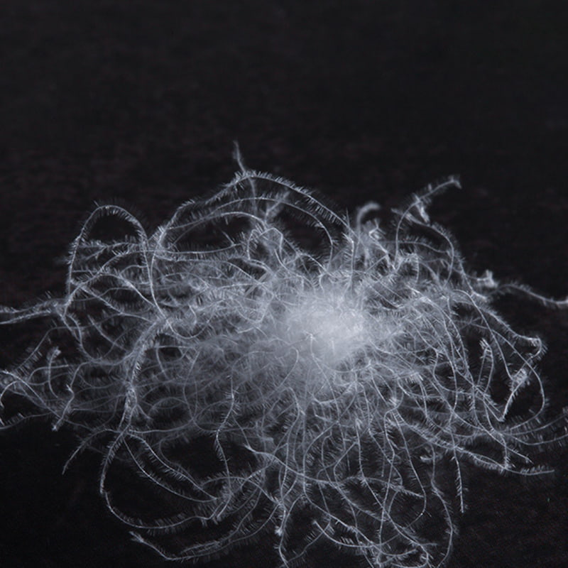 50% białego puchu gęsiego 50% białego puchu gęsiego