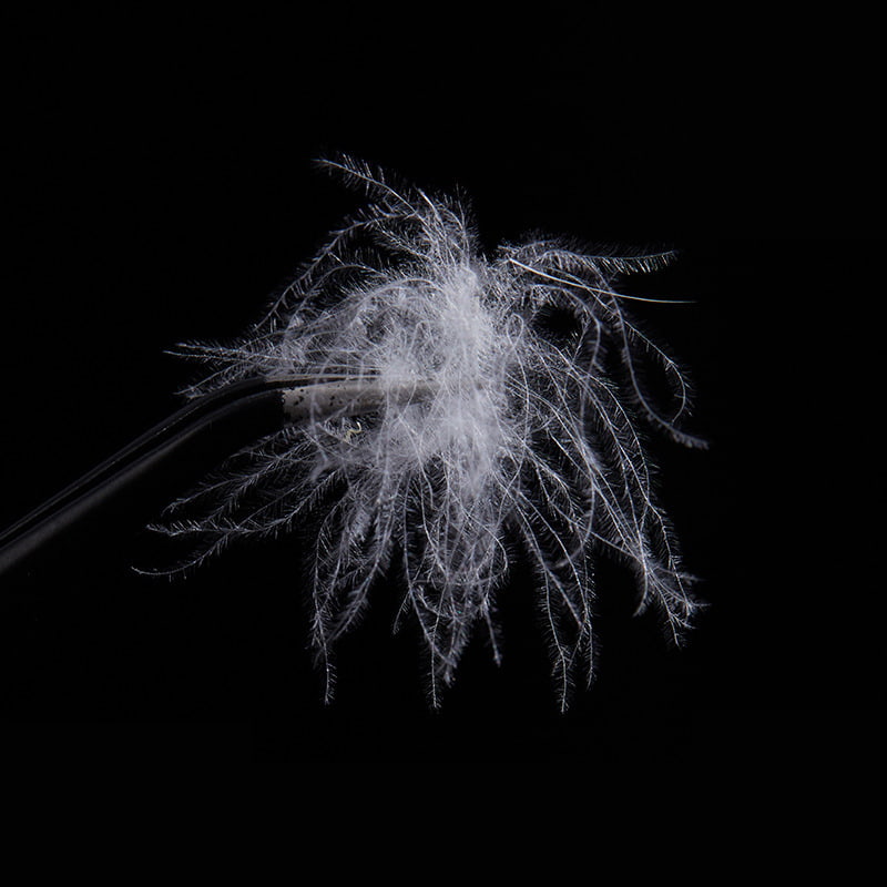 50% czystego białego puchu kaczego